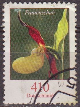 Alemania 2008 Scott Sello º Flora Flor Orquidea Zapatilla de dama Frauenschuh paphiopedilum 410 Allemagne Duitsland Germania Germany Alemagne Deutschland